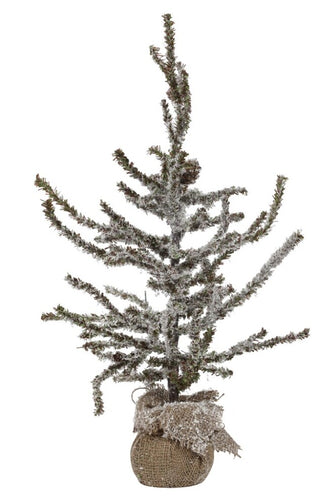 Pine spruce branch 50 cm.