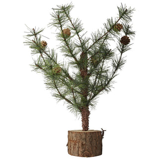 Pinea spruce branch 42 cm.