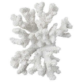 Serlina coral 11.5 cm.