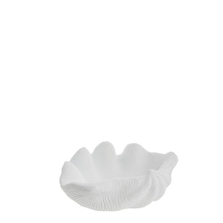 Shella mussel bowl 25x18.5 cm. white white